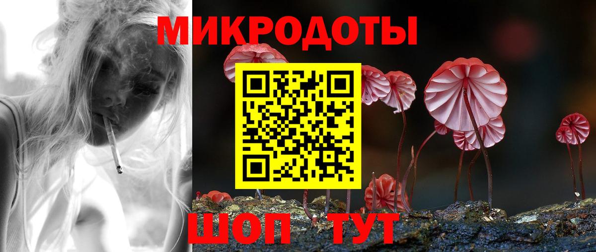 Туапсе  сколько стоит  Вход с VPN  Псилоцибиновые грибы Psilocybe 